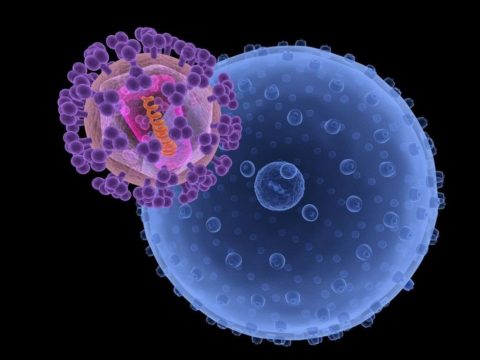 Аутоиммунные процессы - частая причина развития гипертиреоза у детей