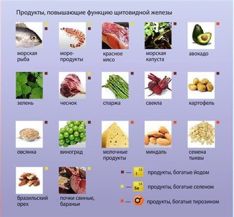 Продукты полезные для щитовидной железы
