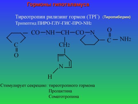 Тиреотропин-рилизинг-гормон, регулирующий продукцию тиреотропного гормона