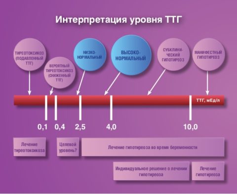 Врачебная тактика при выявлении отклонений содержания ТТГ в периферической крови