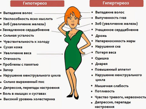 Симптомы гипотиреоза и гипертиреоза также являются показаниями для анализа концентрации ТТГ