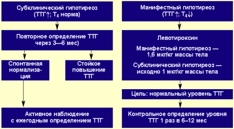 Алгоритм интерпретации анализов на тиреоидные гормоны