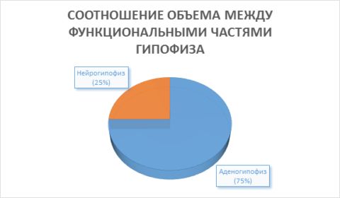 Диаграмма 1 Диаграмма 1
