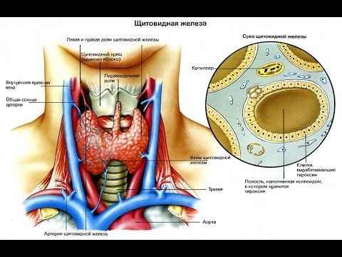 Латентная