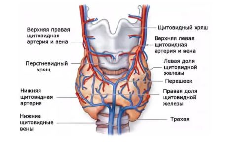 Латентная форма