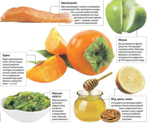 Продукты, богатые йодом Продукты, богатые йодом