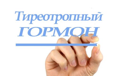 Тиреотропин